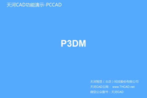 P3DM项目管理
