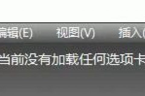 功能区当前没有加载任何选项卡或面板